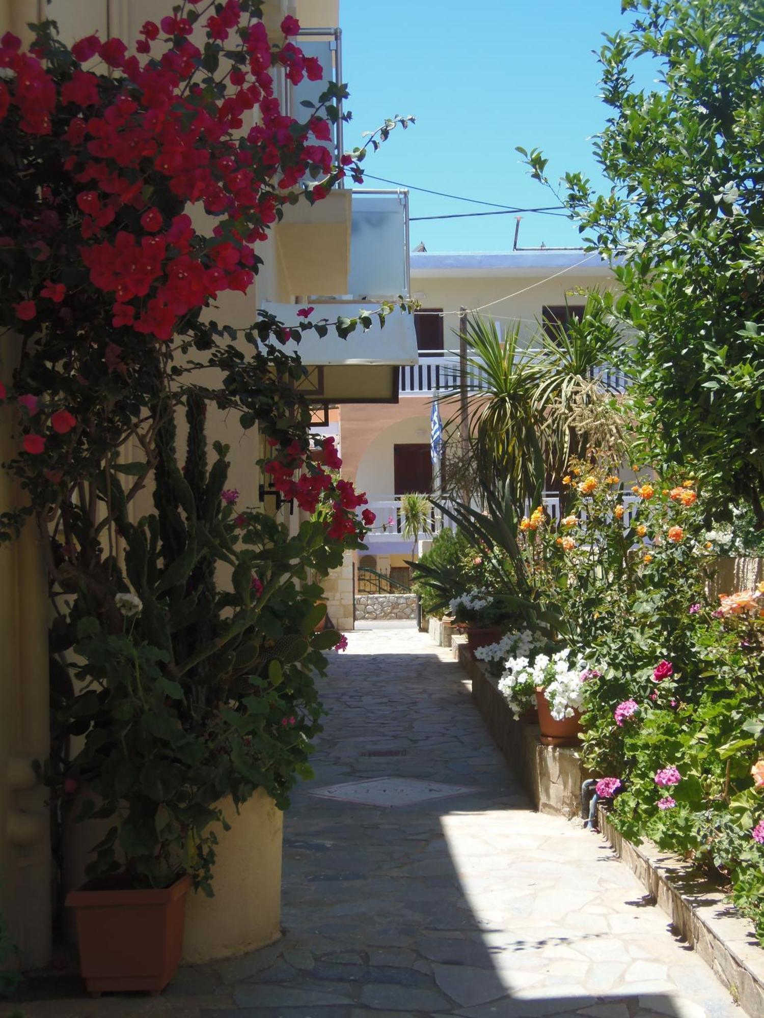 Angelica Studios And Apartments Agia Marina Dış mekan fotoğraf
