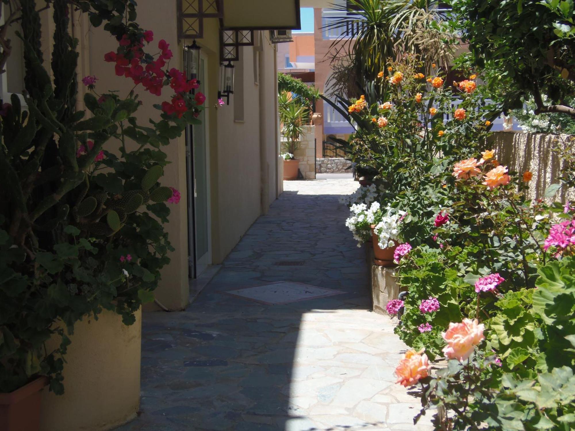 Angelica Studios And Apartments Agia Marina Dış mekan fotoğraf