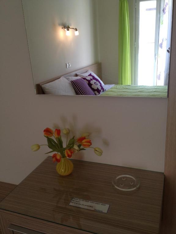 Angelica Studios And Apartments Agia Marina Dış mekan fotoğraf